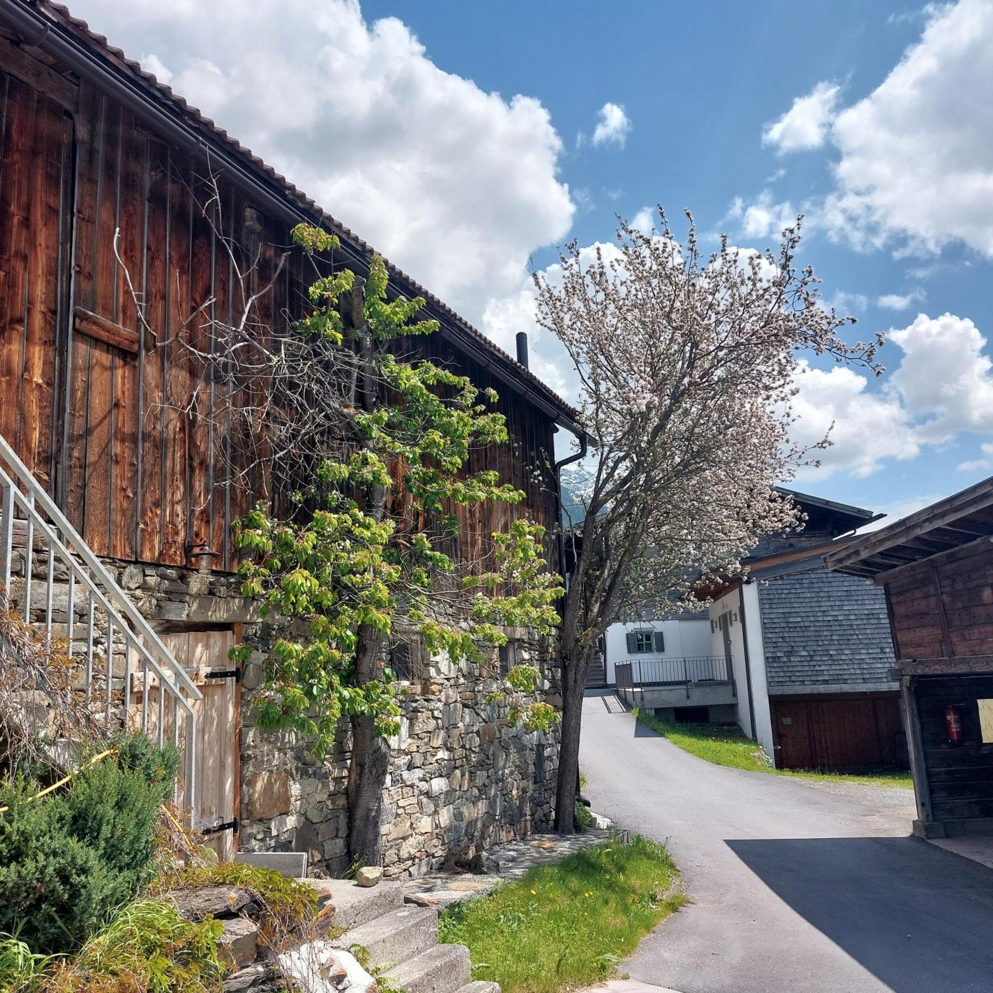 Apartamento Bichlhof Niederthai Exterior foto